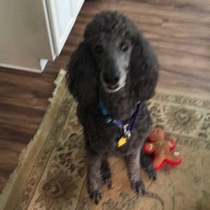 Meet your Posher, Noreen